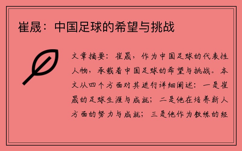 崔晟：中国足球的希望与挑战